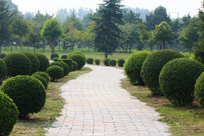 園林綠化工程 從設(shè)計(jì)構(gòu)思到施工落地的全程解析