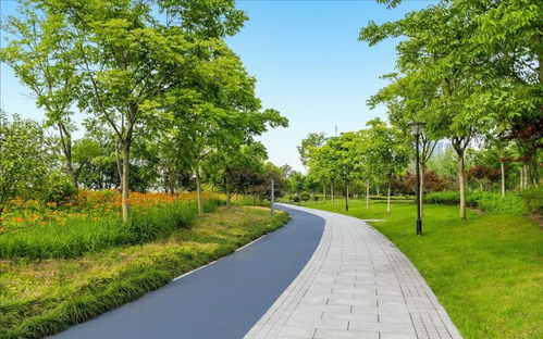 園林景觀中道路與鋪裝的系統(tǒng)性設計與施工要旨